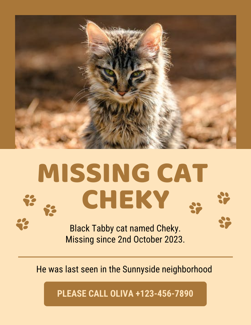 Cat Found Sign Template