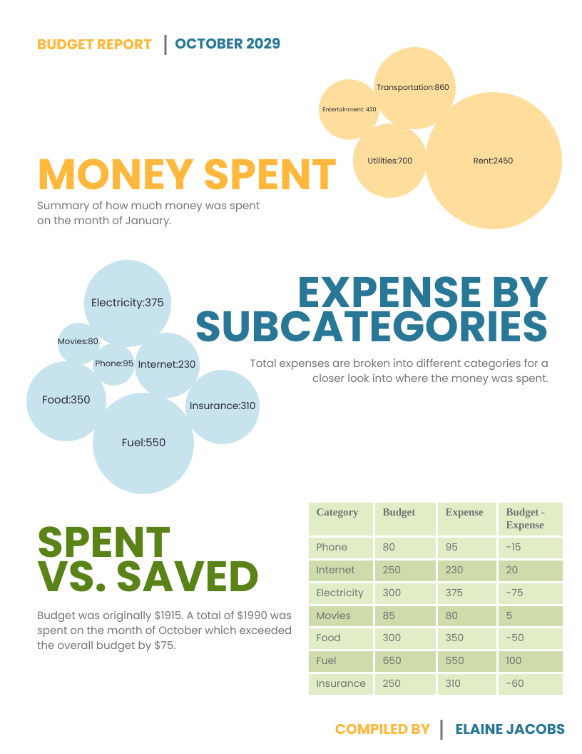 Budget Report Venngage