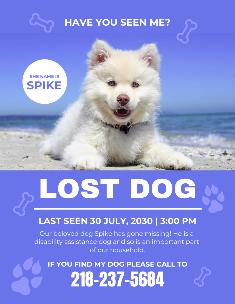 Pet Flyer Template Astra edu pl