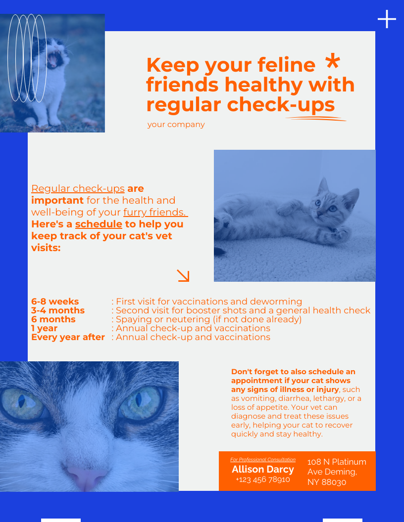 Blue Cat Vet Schedule Article Template