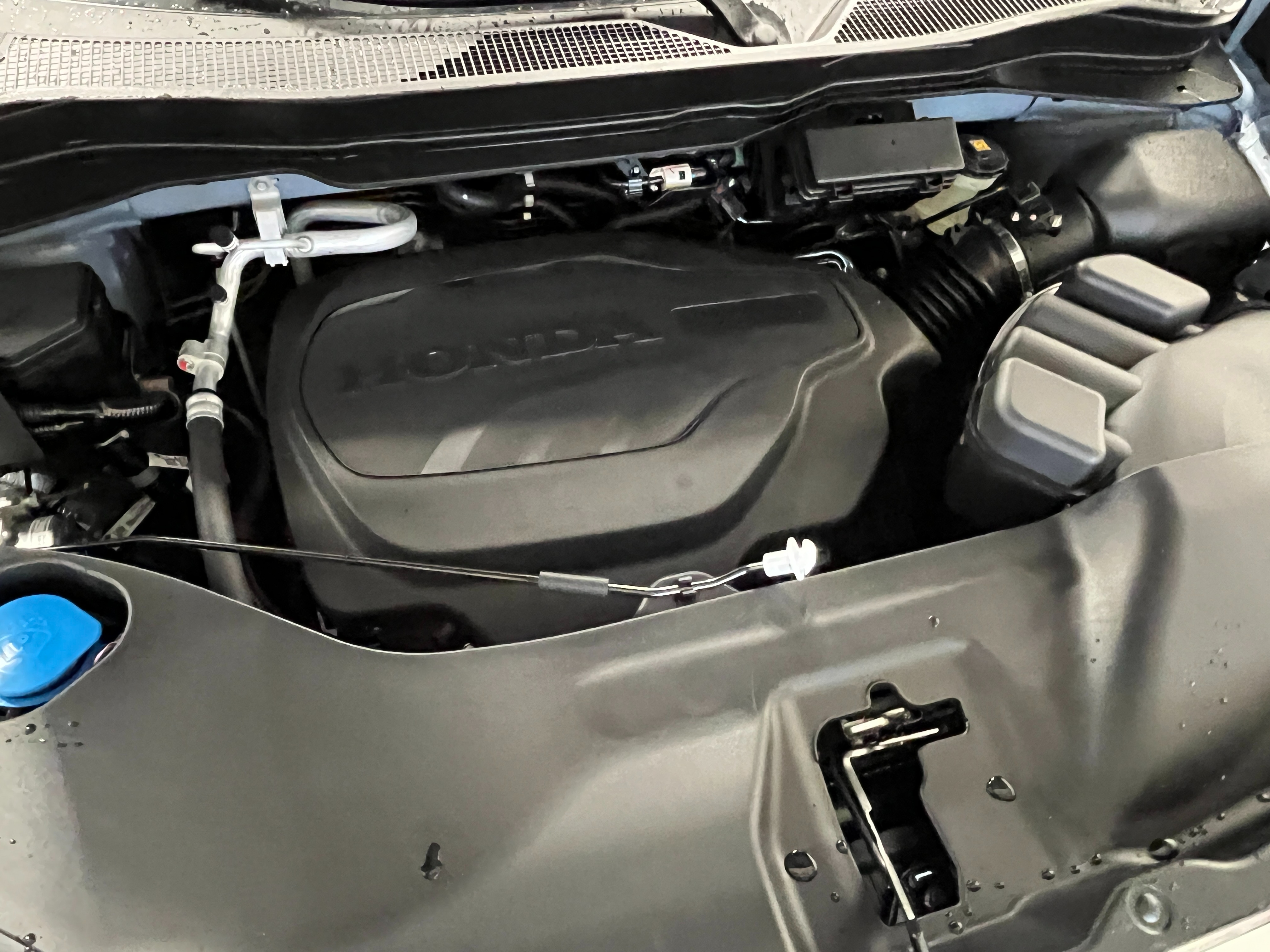 New 2026 Sonic Gray Pearl Honda RTL image 12