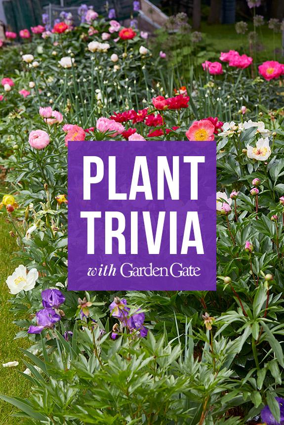 Plant Trivia with Garden Gate Tickets in Des Moines, IA, United States