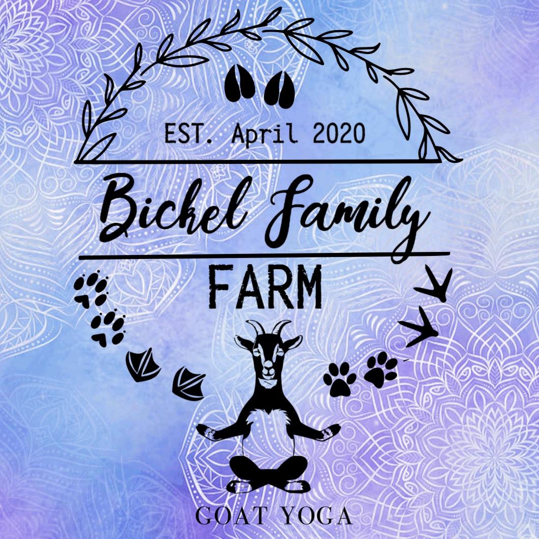 Goat Yoga Tickets In Perkasie Pa United States