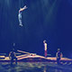 Cirque du Soleil - Corteo