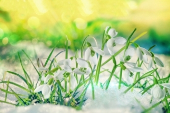 Spring