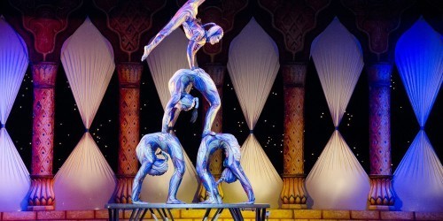 Cirque Du Soleil