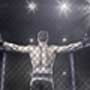 UFC - Ultimate Fighting Championship