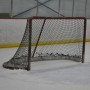 Boston Bruins