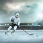 Pittsburgh Penguins