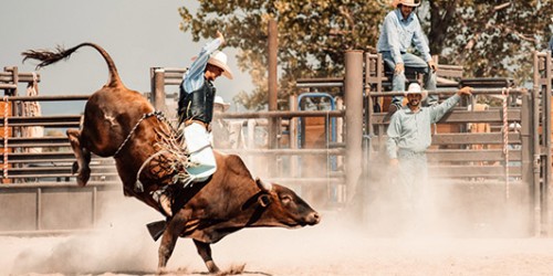 PBR: Canada National Finals