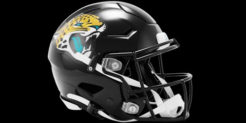 Jacksonville Jaguars stadium view from the stands