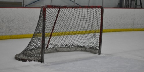 Nashville Predators