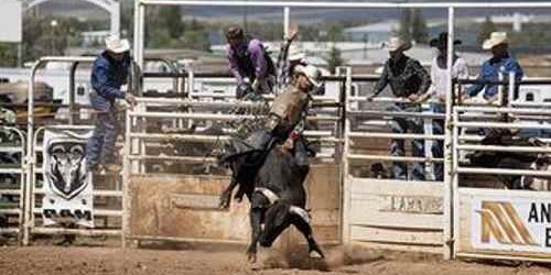 PBR - Professional Bull Riders