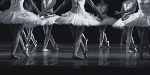 Black Swan - The Musical