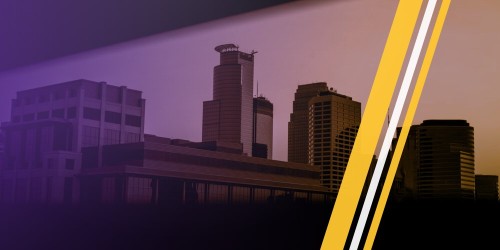 Minnesota Vikings