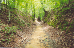Natchez Trace