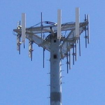 cellular network