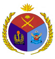 soldiers