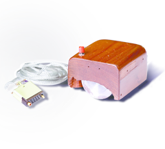 The Mother of All Demos