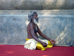ascetic
