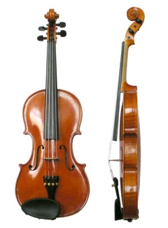violin