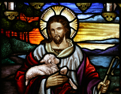 Ecumenical Council