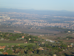 Battle of Monte Porzio