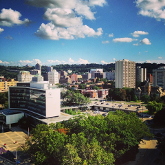 Hamilton, Ontario