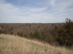 Short Hills