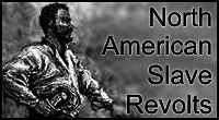 slave rebellion
