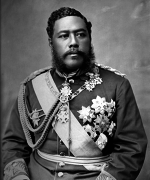 Bayonet Constitution