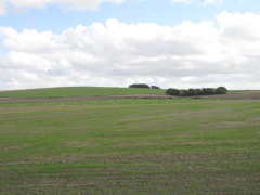 Battle of Roundway Down