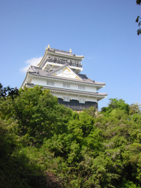Battle of Gifu Castle
