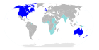 English language