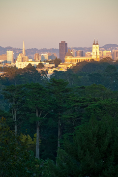 Golden Gate Park