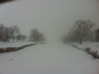 snowstorm