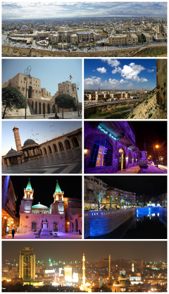Aleppo