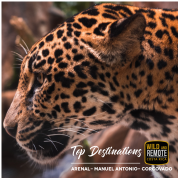 Costa Rica Wild and Remote destination