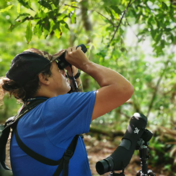 Corcovado Abenteuer