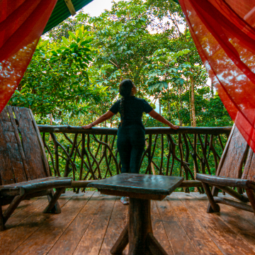 Relax Rainforest Package