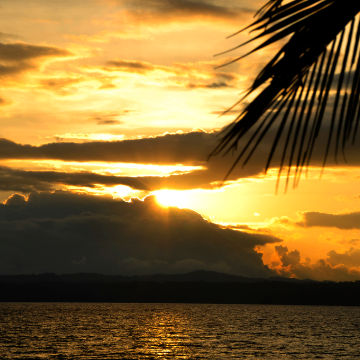 Golfo Dulce Crossing