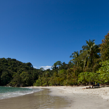 Manuel Antonio National Park (optional)