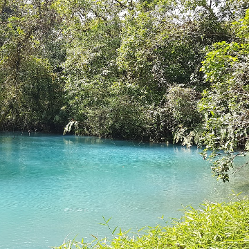 Ein freier Tag für dich!