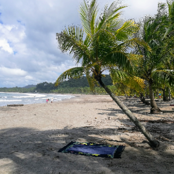 Strand, Meer und Palmen