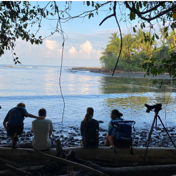 Wildlife observations & return to Drake Bay