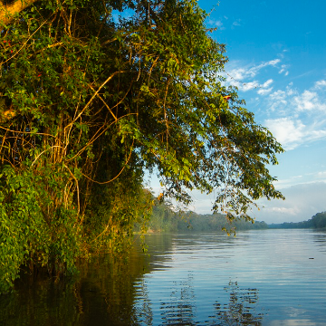 Dein Tortuguero Abenteuer beginnt!