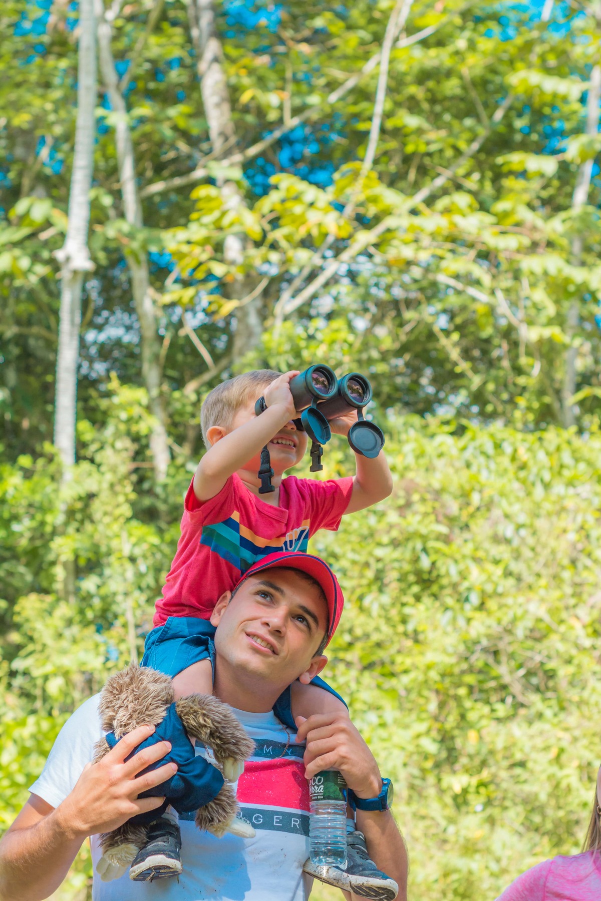 Sloth Watching Tour Day or Night Experience Costa Rica - Ecoterra Costa Rica