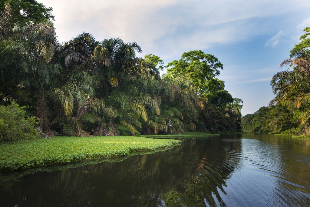 Tortuguero Abenteuer Klassik Tortuguero Abenteuer Klassik