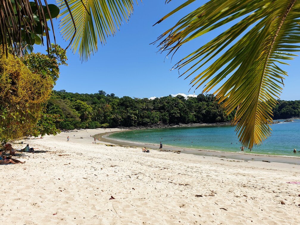 Wildes Costa Rica