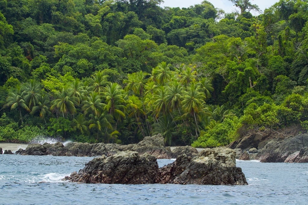 Wildes Costa Rica
